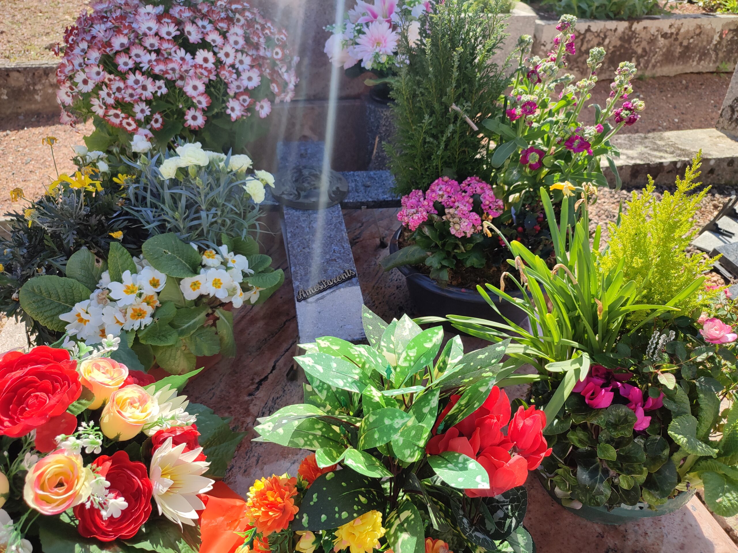 Gros plan sur les compositions de fleurs naturelles et artificielles. Une croix en marbre noir au centre de la tombe.