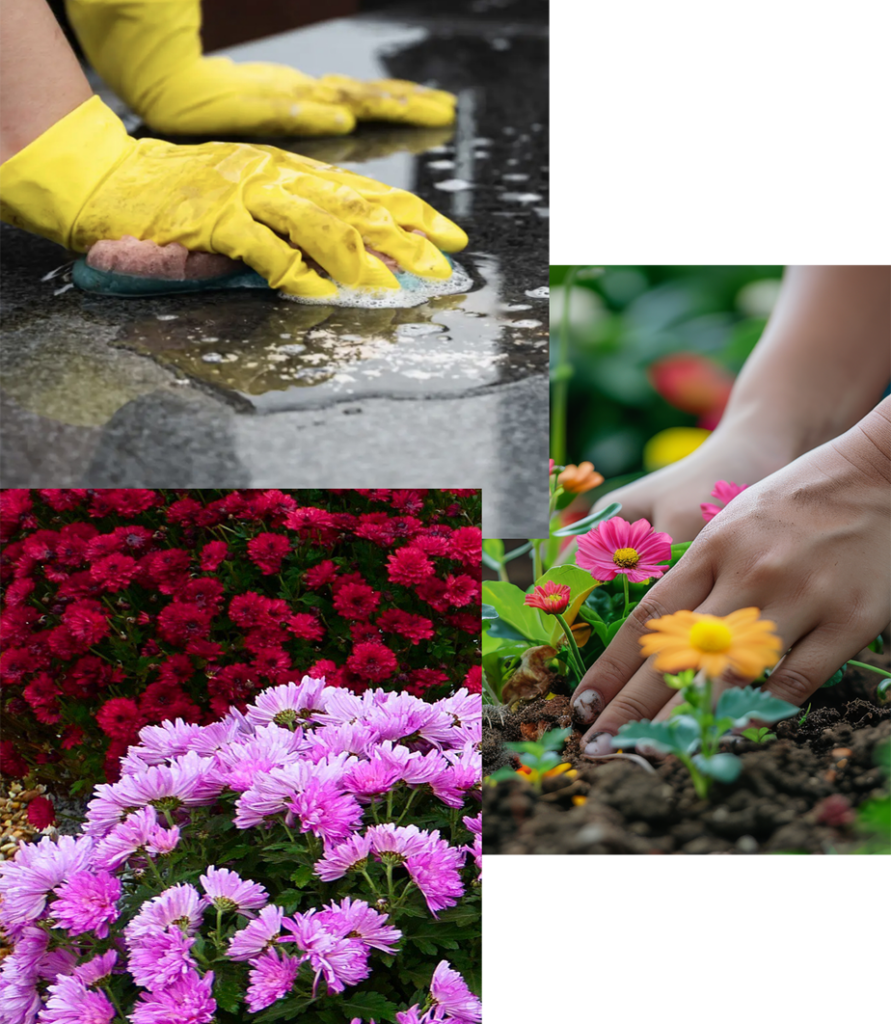 Nettoyage d'une pierre tombale et fleurissement en fleurs et végétaux naturels.