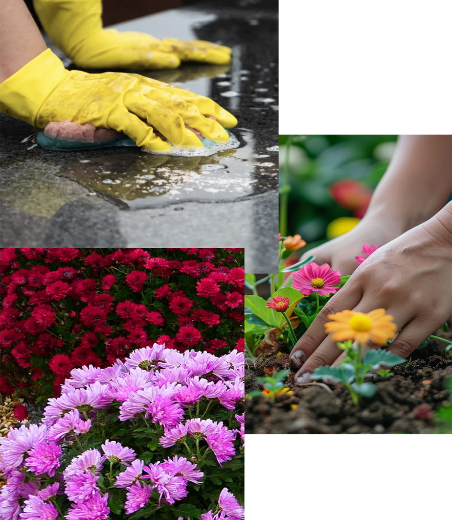 Nettoyage d'une pierre tombale et fleurissement en fleurs et végétaux naturels.